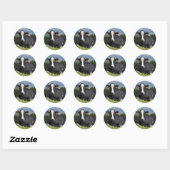Holstein koe ronde sticker (Vel)