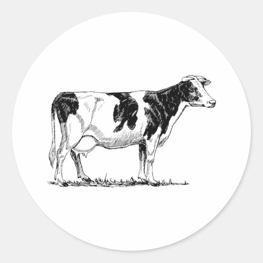 Holstein Koe Ronde Sticker (Voorkant)