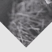 Holstein Koe Zwart-wit Decoupage Tissuepapier (Detail)