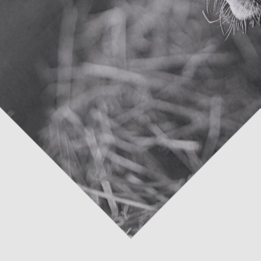 Holstein Koe Zwart-wit Decoupage Tissuepapier (Detail)