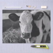 Holstein Koe Zwart-wit Decoupage Tissuepapier (Craft)