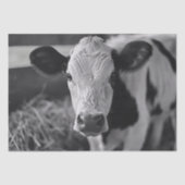 Holstein Koe Zwart-wit Decoupage Tissuepapier (Voorkant)