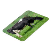 Holstein Koemagneet Magneet (Linkerzijde)