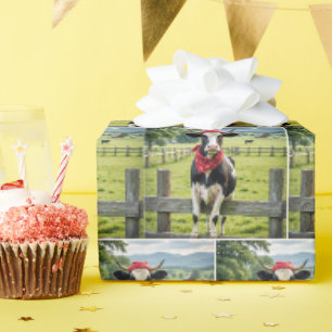 Holstein op een boerderijhek cadeaupapier