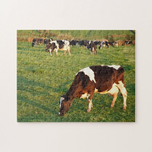 Holstein rundvee legpuzzel (Horizontaal)