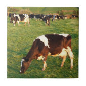 Holstein rundvee tegeltje (Voorkant)