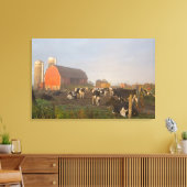 Holstein zuivelkoeien buiten een schuur bij zonsop canvas afdruk (Insitu (Woonkamer))