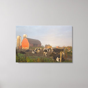 Holstein zuivelkoeien buiten een schuur bij zonsop canvas afdruk