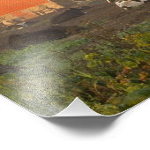 Holstein zuivelkoeien buiten een schuur bij zonsop foto afdruk (Hoek)