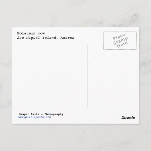 Holstekoe Briefkaart (Achterkant)