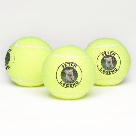 Holt Legende Tennisballen