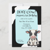 Holy Cow, blue, cow 1st Birthday Kaart (Voorkant)