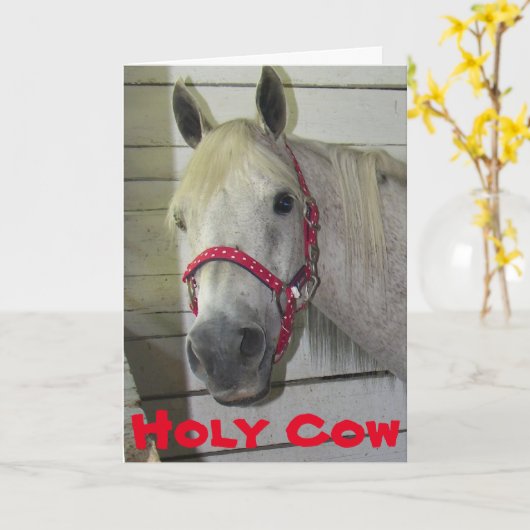 HOLY COW YOUNG FILLY **60th BIRTHDAY** Kaart (Gele Bloem)