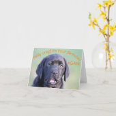 Holy crap! Het is weer je verjaardag! Kaart (Gele Bloem)