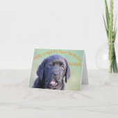 Holy crap! Het is weer je verjaardag! Kaart (Voorkant)