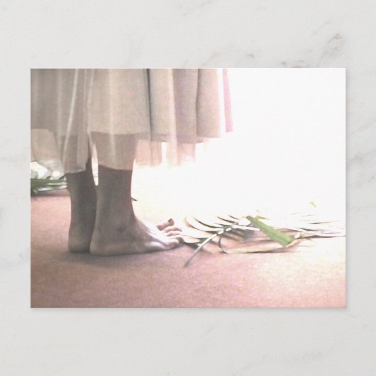 Holy Ground Postcrossing Briefkaart (Voorkant)