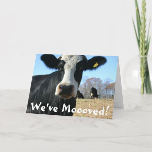 Holy Koe Weve verplaatst Aankondiging