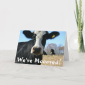 Holy Koe Weve verplaatst Aankondiging (Voorkant)