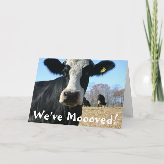 Holy Koe Weve verplaatst Aankondiging (Voorkant)