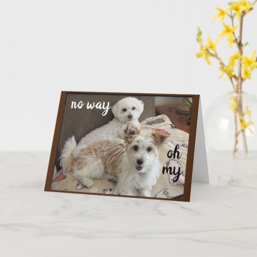 HOLY KOE ZEGT DE POPS "JE DRAAIT 60" KAART (Gele Bloem)