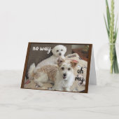 HOLY KOE ZEGT DE POPS "JE DRAAIT 60" KAART (Voorkant)