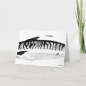Holy Mackerel Verjaardag Kaart (Voorkant)