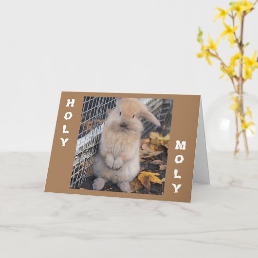 **HOLY MELY KUNT U NIET "13" REEDS ZIJN** KAART (Gele Bloem)