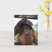 Holy moly krijgt oud schattig verjaardagsdier kaart (Gele Bloem)