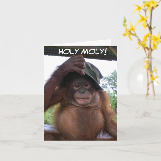 Holy moly krijgt oud schattig verjaardagsdier kaart (Gele Bloem)