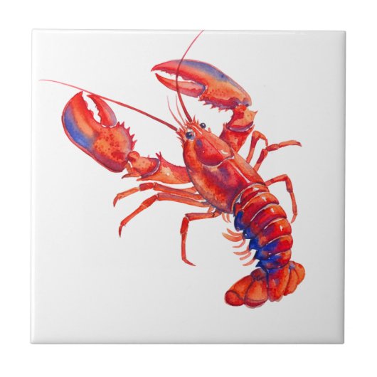 Homard Tegeltje (Voorkant)