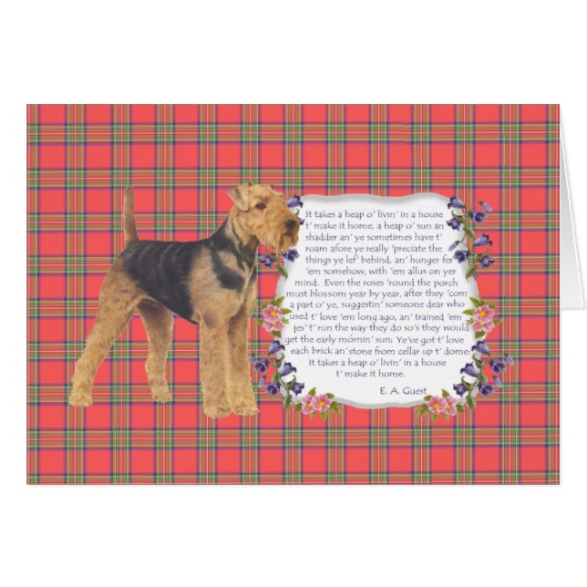 Home Airedale - Welsh - Lakeland (Voorkant Horizontaal)