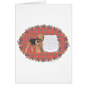 Home Airedale - Welsh - Lakeland