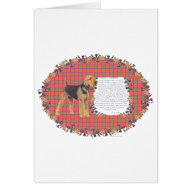 Home Airedale - Welsh - Lakeland (Voorkant)