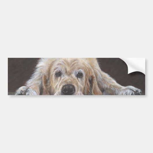 Home Alone Golden Retriever Bumpersticker (Voorkant)