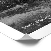 Home Cats Fairbanks Alaska 1916 Poster (Hoek)