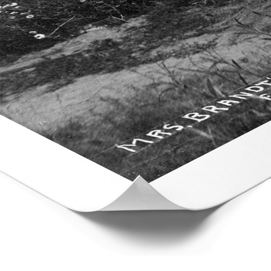 Home Cats Fairbanks Alaska 1916 Poster (Hoek)