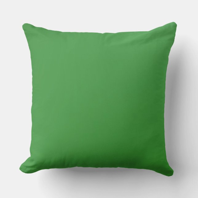 Home Decor Accents Green Kussen (Voorkant)
