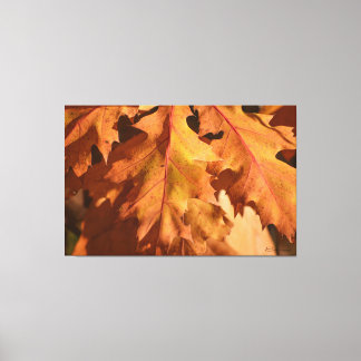 Home Decor Herfst bladeren Wall Art Print