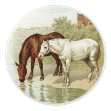  home decor paardenliefhebbers knop
