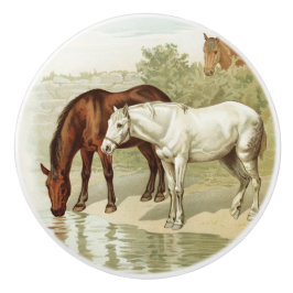  home decor paardenliefhebbers knop