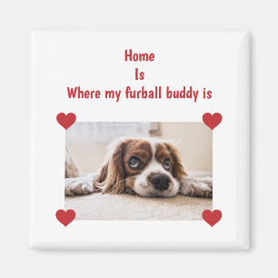 Home Furball Buddy Dog Persoonlijke foto-harten Magneet