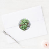 Home Gekweekte Groene Bonen Ronde Sticker (Envelop)