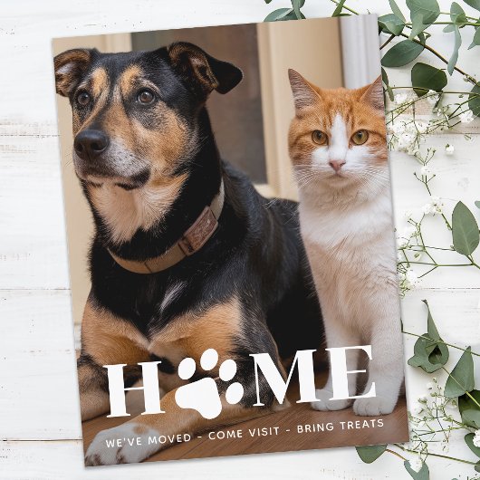 Home Huisdier Foto We hebben verhuisd Nieuw Adres  Aankondiging