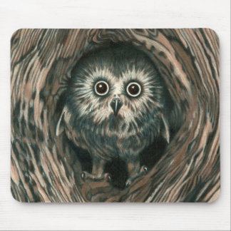 "Home in a Hole" Owl Mousepad Muismat