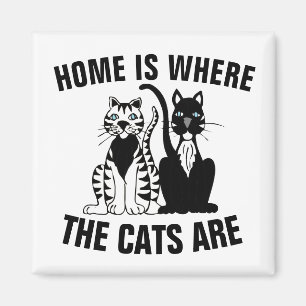 HOME IS WAAR DE VANGSTEN ZIJN, KAT DE VRIDGE MAGNE MAGNEET