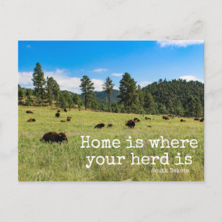 Home is waar je herder is-South Dakota Post Card Briefkaart