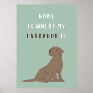 Home is waar mijn labrador Poster is