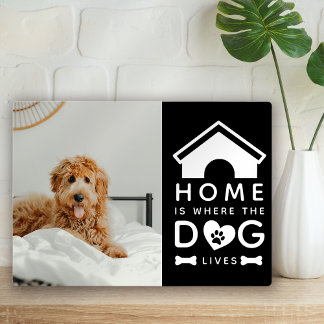 Home is Where the Dog Lives Foto Fotoplaat