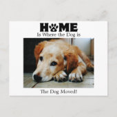 Home is Where to Dog is Moving Aankondiging Briefkaart (Voorkant)