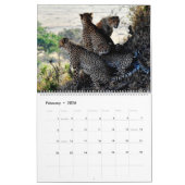 Home/Kantoor Wandkalender Dierenkalender Kalender (Feb 2026)
